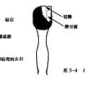 钻石是最硬的，但是如果切割长条形，会不会被掰断