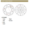 分级师眼中的钻石净度长啥样？第一手钻石净度分级实物图集