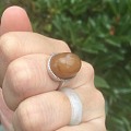 也玩一个缅甸棕蜜的戒指
