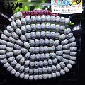 海南精品精挑12x8星月菩提念珠品质优良品相完美。