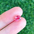 分享一颗有点特别的