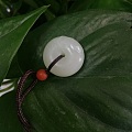 最近迷上了小扣子
