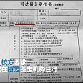 学生小升初要做亲子鉴定 教育办：往年造假太多