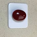 阿卡珊瑚牛血戒面