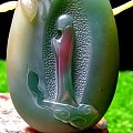 秦紫玉——莲下问道！意境十足的作品