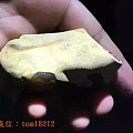 “鸡蛋黄”的翡翠原石，经过雕师的手，太惊艳了~~