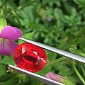 纯干货分享,文字功底有待提高