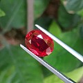 精品无烧鸽血红宝石
3.03ct 主证鸽血红
晶体好 强荧光
室内也很美 ...