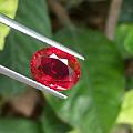 精品无烧鸽血红宝石
3.03ct 主证鸽血红
晶体好 强荧光
室内也很美 ...