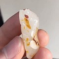 这老红皮真的很特别很漂亮！