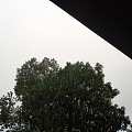 今天歌单是“听雨”，雨神别下了，已经一天一夜了。过分了