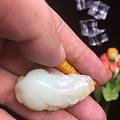 鸿运当头貔貅