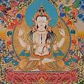雪域西藏的守护神『四臂观音』
