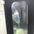 很久没发工作动态了