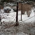 第一场雪

下雪了，悠然飘落的雪花，堆积在屋顶上，树冠上和草坪上，覆盖了最后...