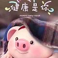 今年被🐷宝宝萌到了