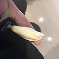 等出门，欣赏下这朵白兰花