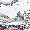 南京下雪了 太美