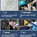 广州铂瑞莱珠宝镶嵌加工定制流程与价格