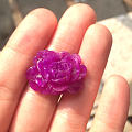 晒晒我的凝胶紫红牡丹花