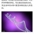 刚开到一个新闻，罗湖有人一次带14个血样品过关，推测是去香港做婴儿性别测试的