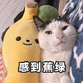 差不多的价格，大伙说说菠菜绿和猫眼碧玉哪个更值得入？
