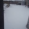 塞翁失马焉知非福
今天东北终于下了一天的大雪，厚度我估计已经到20厘米深了。...