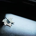 银装素裹钻石沙——枫叶