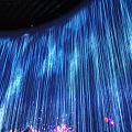 TeamLab，纽约排8小时的网红展，光影效果一流，上海的同学们值得刷一刷！