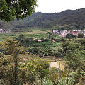 清明祭祖，大山寻宝