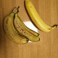 进口香蕉和国产的差别