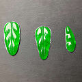 金枝玉叶
