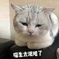 某铺618后会回调吗？