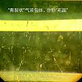 碧玺内部气液两相包体与“毛晶”