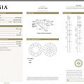 圆钻 5.01 G VS1 3Ex N GIA现货
