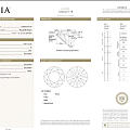 圆钻 5.01 G VS1 3EX N GIA现货