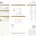 Oval 椭圆钻 4.50 H VS1 EX VG N GIA