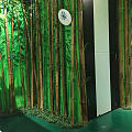 特色民宿，有竹子有熊猫，竟然还有旗袍...试穿了绿色，正好