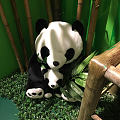 特色民宿，有竹子有熊猫，竟然还有旗袍...试穿了绿色，正好