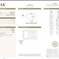 大冰糖祖母绿钻石5.01 FVS1 EXEX GIA N现货