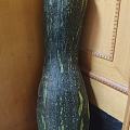 妈妈种的南瓜，28斤