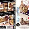 传说中的猫片