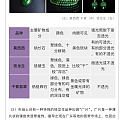 莫西西，铁龙生和干青
认真学习中
