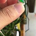 大家帮我看看这个卡8.2-5.8-3.5镶嵌款式。1万几合适啊，谢谢啦