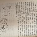 业余读物,玉石工艺类