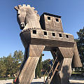 土耳其打卡(之三)撸猫