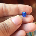 最爱的蓝宝石 缅甸矢车菊