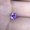 一颗小粉紫