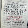 "我妈已经三天没打我了"，小学生"奇葩作文"走红网络，简直要笑出眼泪