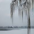 瑞雪丰年